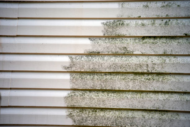 Best Stucco Siding  in Bayou La Batre, AL