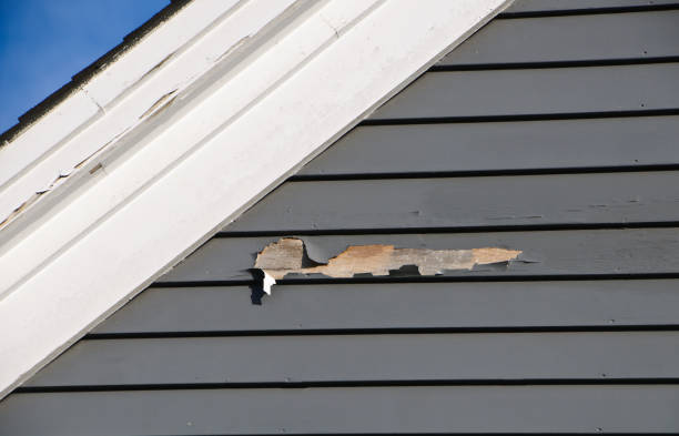Best Steel Siding Installation  in Bayou La Batre, AL